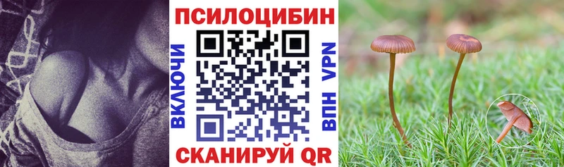 Псилоцибиновые грибы Psilocybe  Алапаевск 